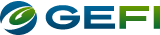 gefi